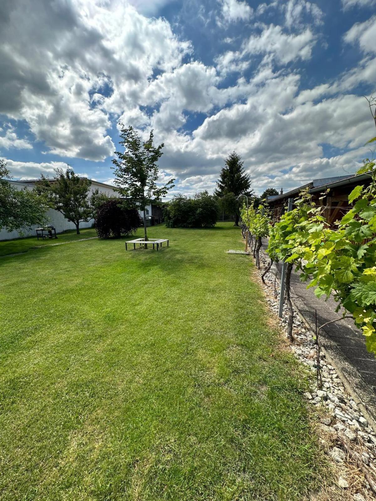 Apartmán Lípa Mikulov Exteriér fotografie