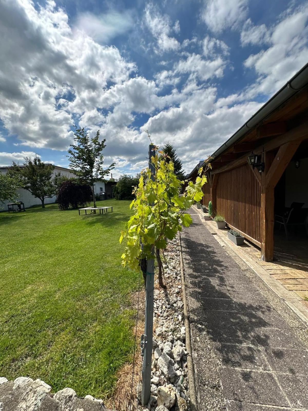 Apartmán Lípa Mikulov Exteriér fotografie