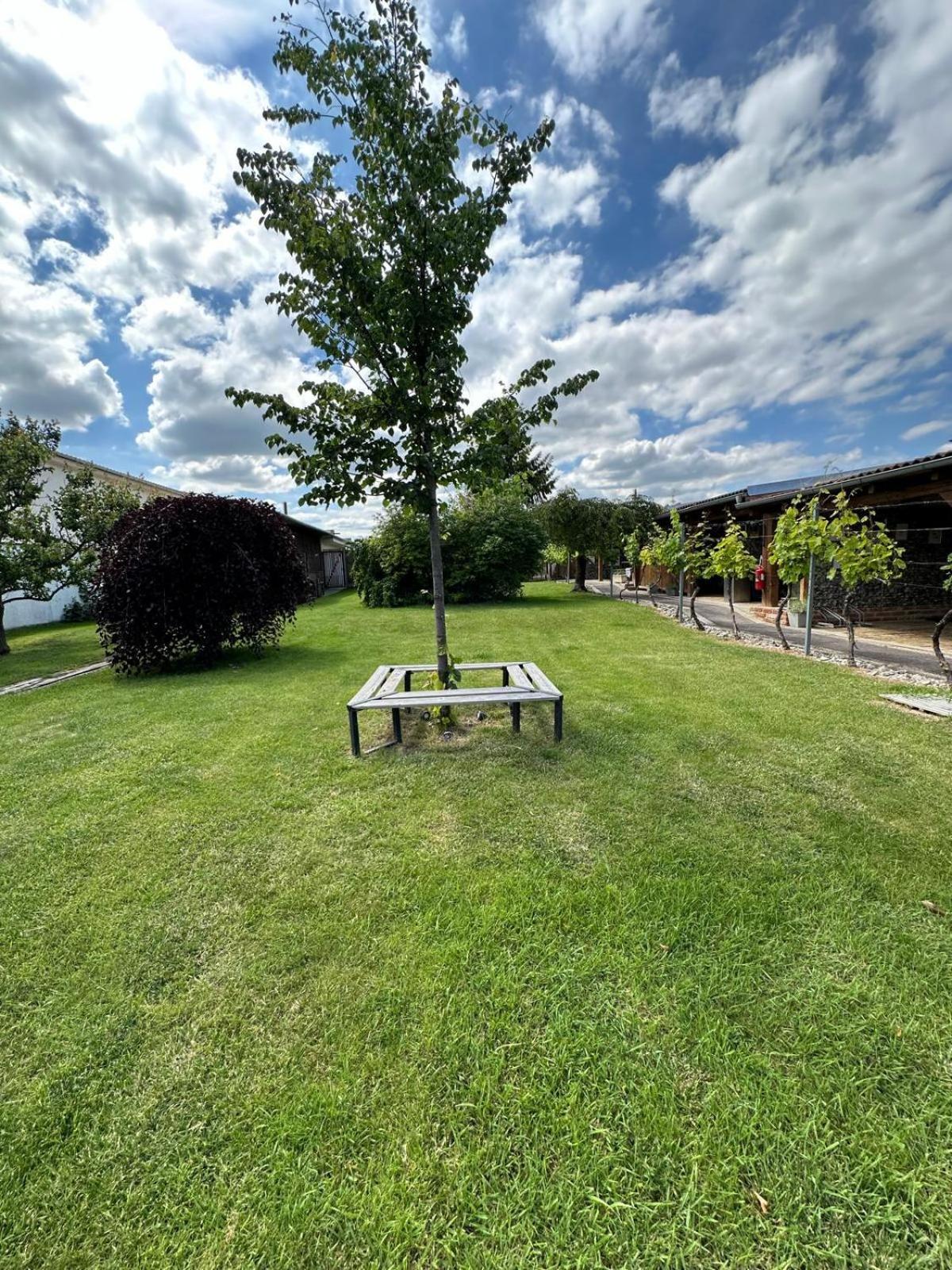 Apartmán Lípa Mikulov Exteriér fotografie